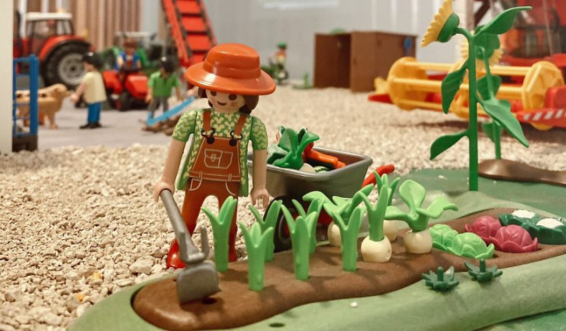 Playmobil Curtis