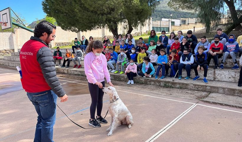 caza colegios Andalucía