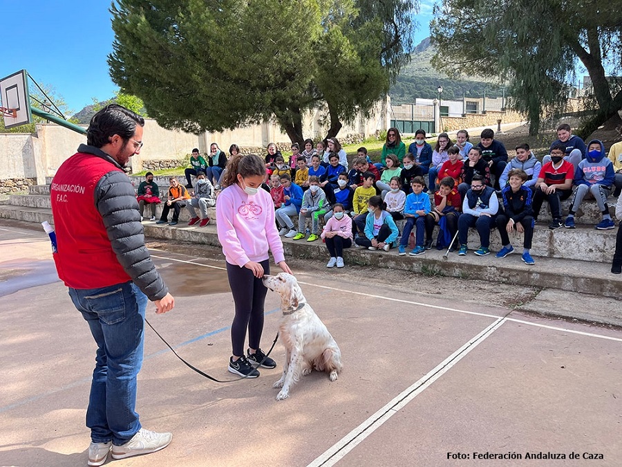 caza colegios Andalucía