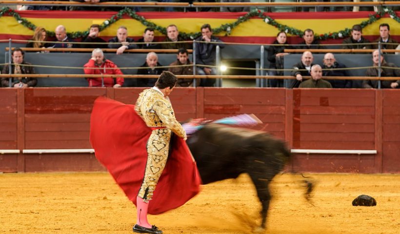 toros Madrid