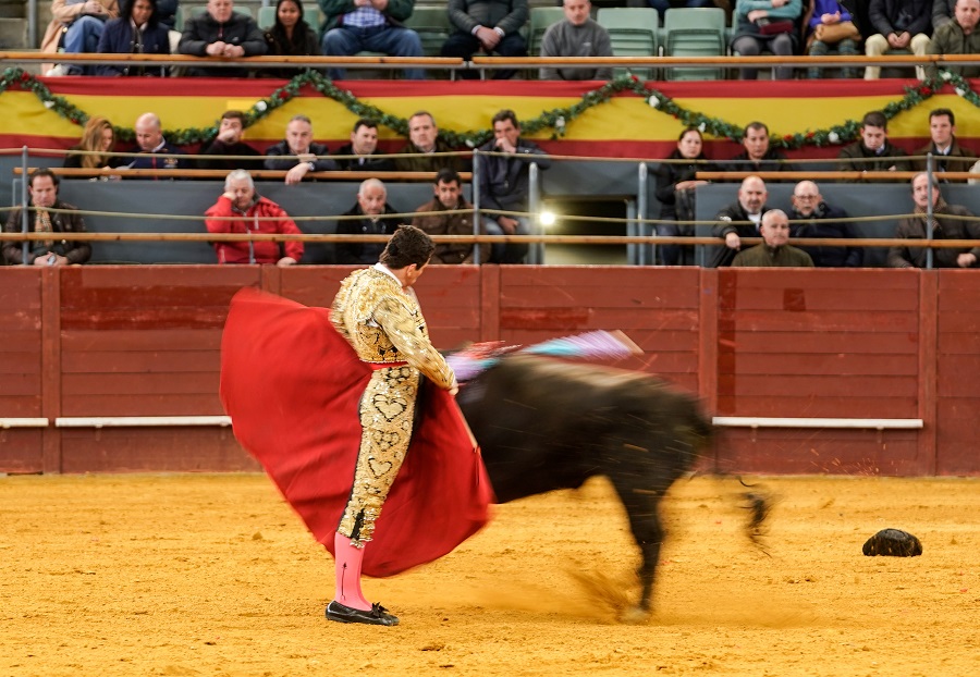 toros Madrid