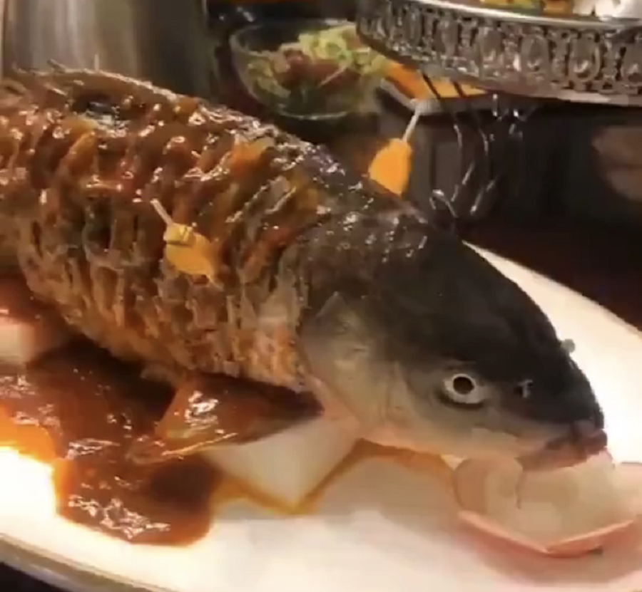 pescado cocinado vivo