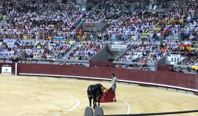 toros bono cultural