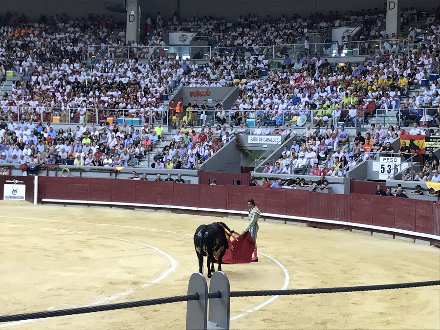 toros bono cultural