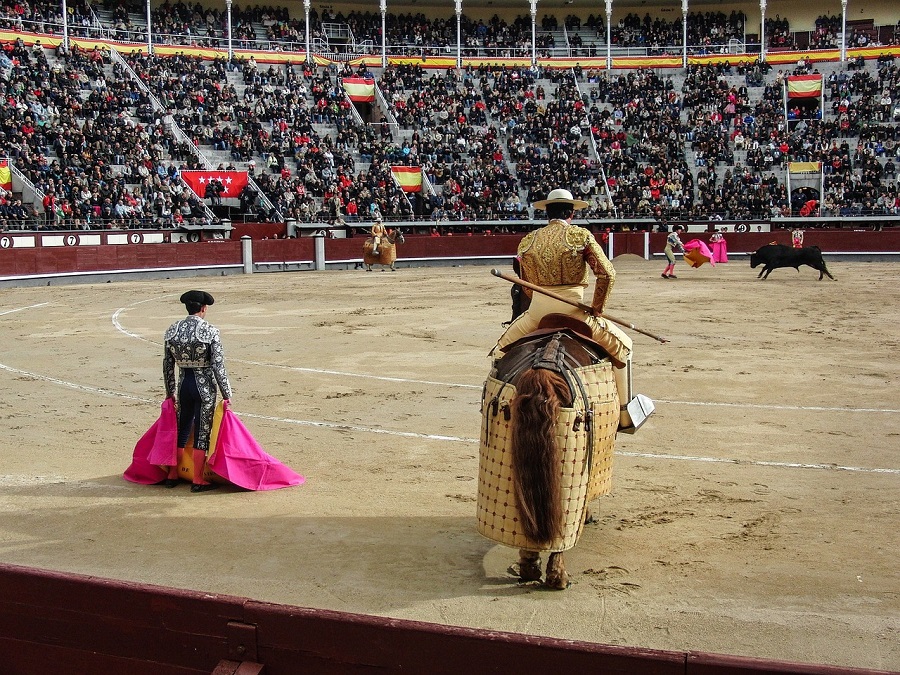 tauromaquia