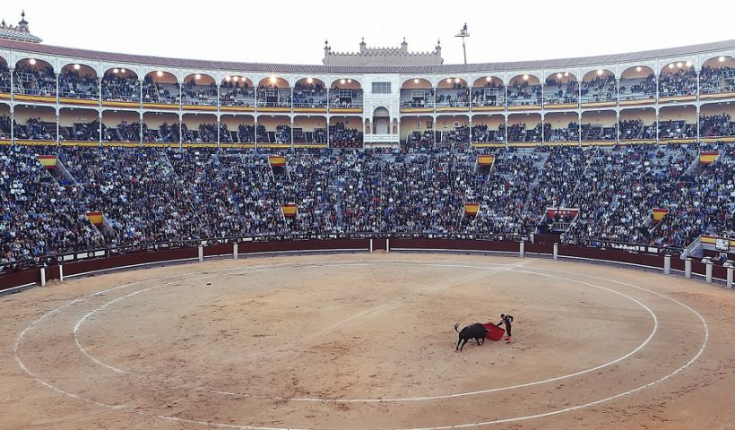 Fundación Toro de Lidia TVE