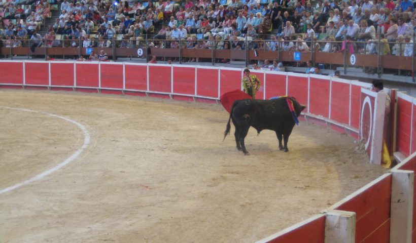 toros Coruña