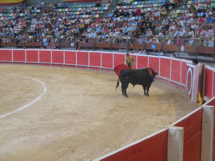 toros Coruña