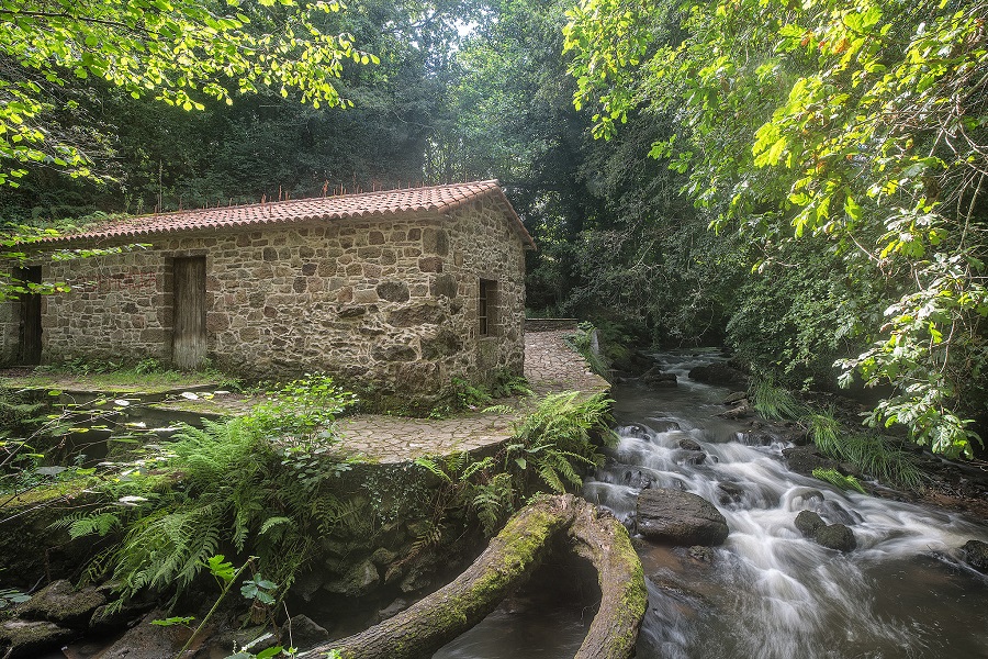 molino de agua Anllóns