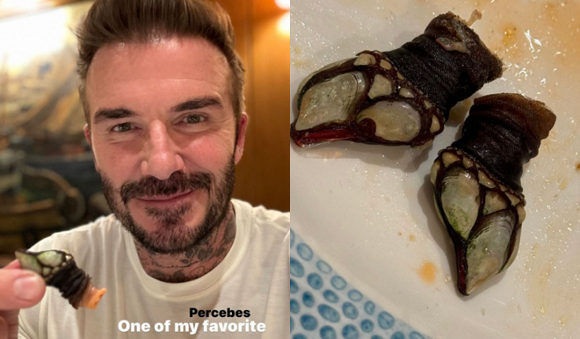 Beckham percebes