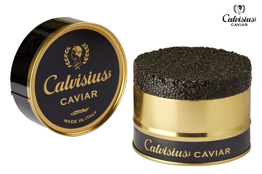 Calvisius