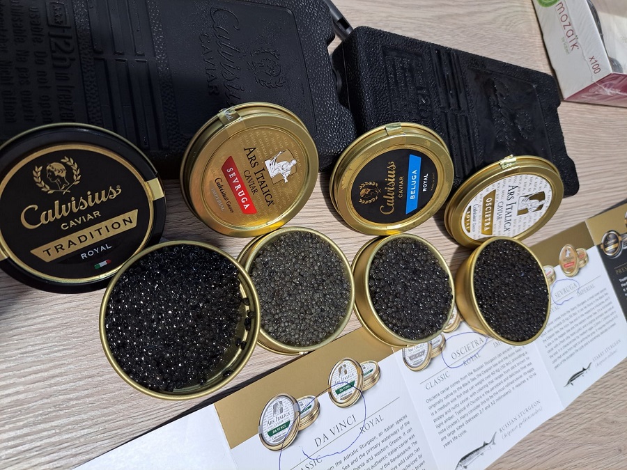 caviar Calvisius