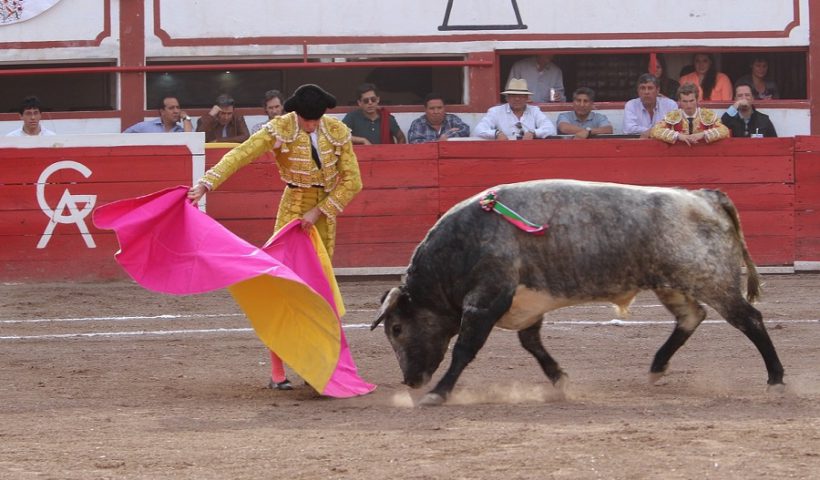 toros Asturias