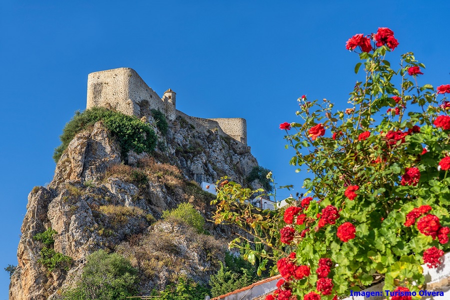 Olvera