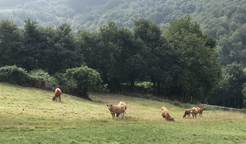 Galicia calidad de vida