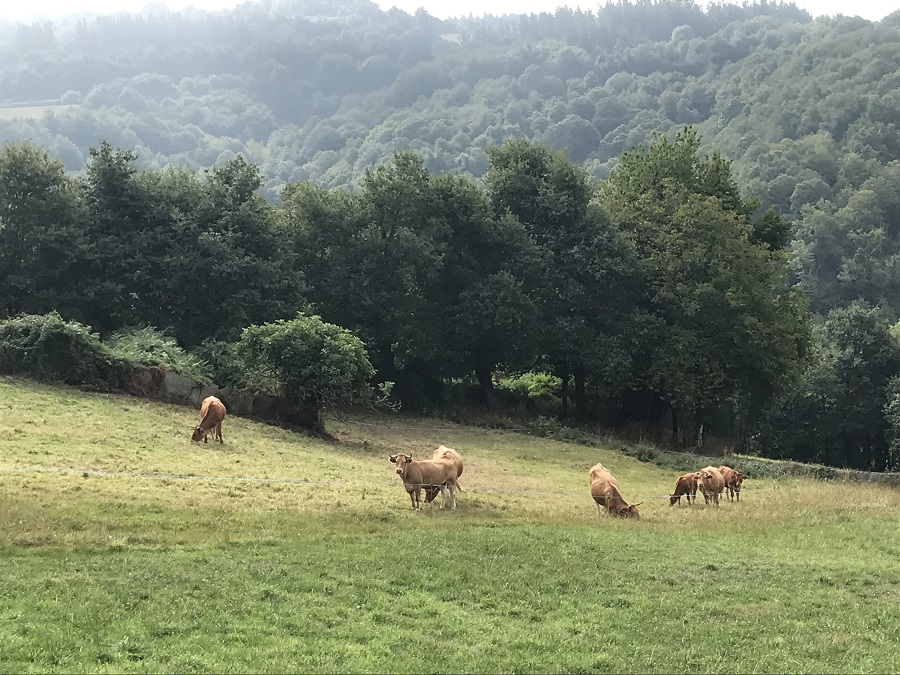 Galicia calidad de vida