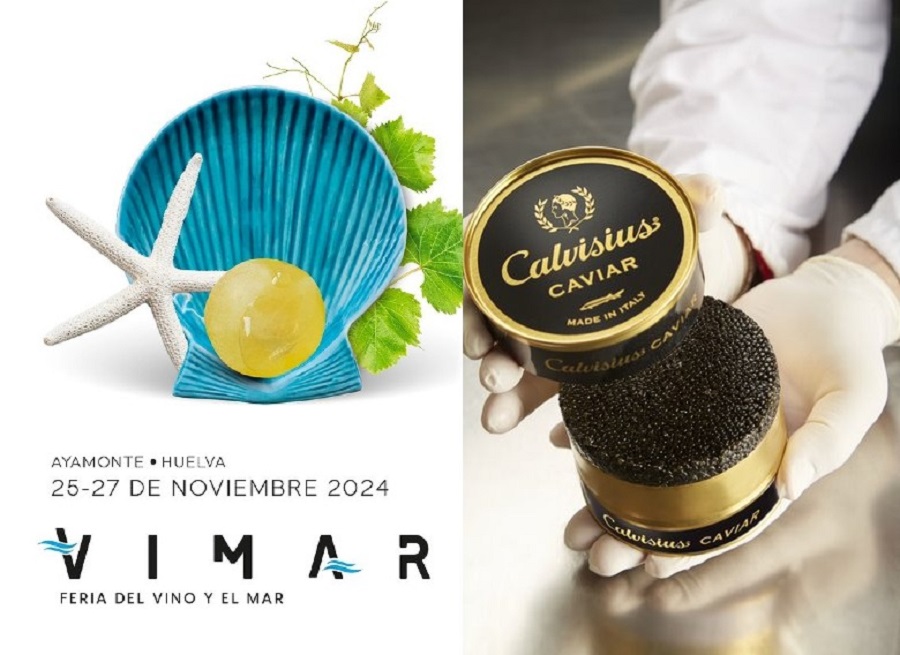 Calvisius Vimar