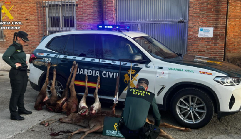 cazadores furtivos