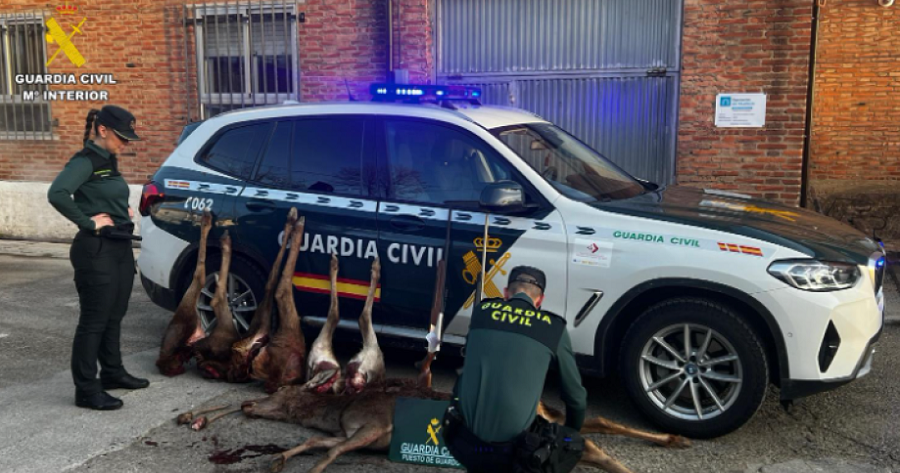 cazadores furtivos