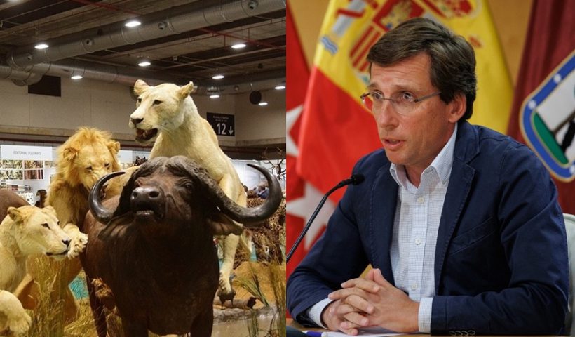 Martínez-Almeida Cinegética