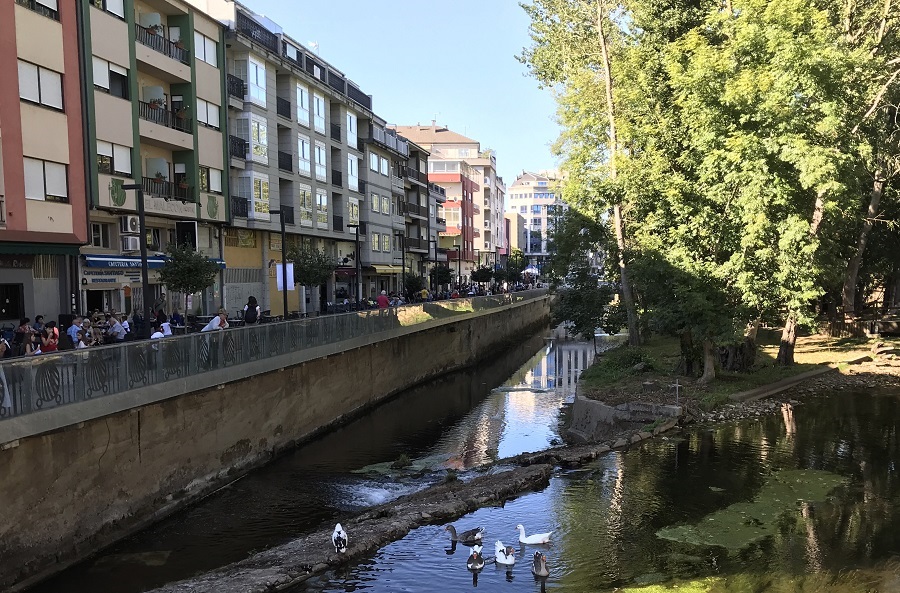 peleas Sarria
