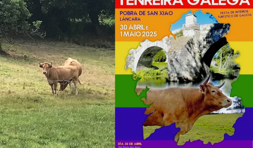 feria ternera gallega