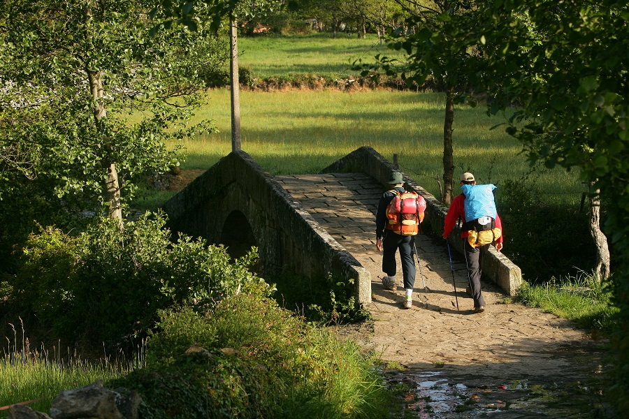 Camino de Santiago