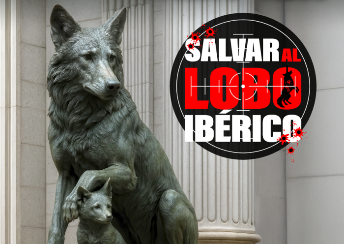 Congreso caza del lobo