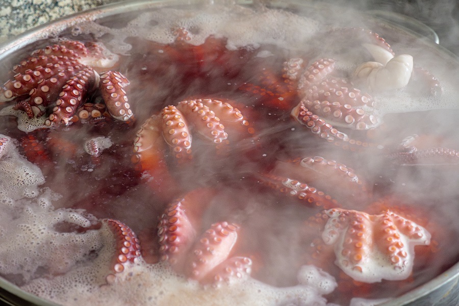 pulpo Melide Galicia