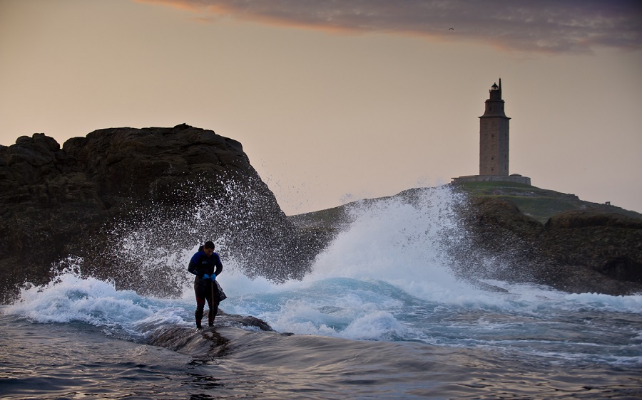 percebeiro Torre de Hércules