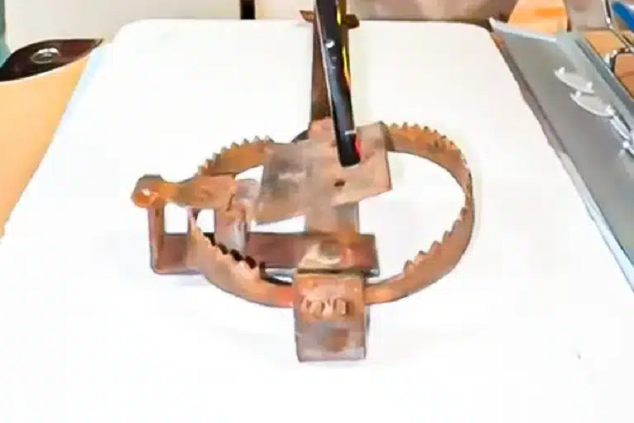 cepo multa