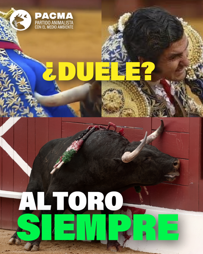 PACMA toros Morante
