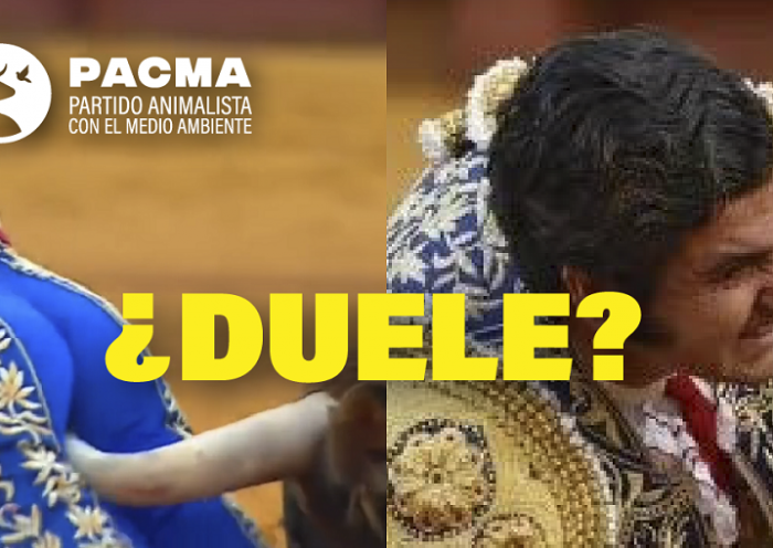 Morante de la Puebla cogida