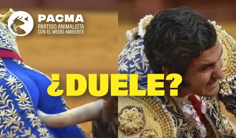 Morante de la Puebla cogida