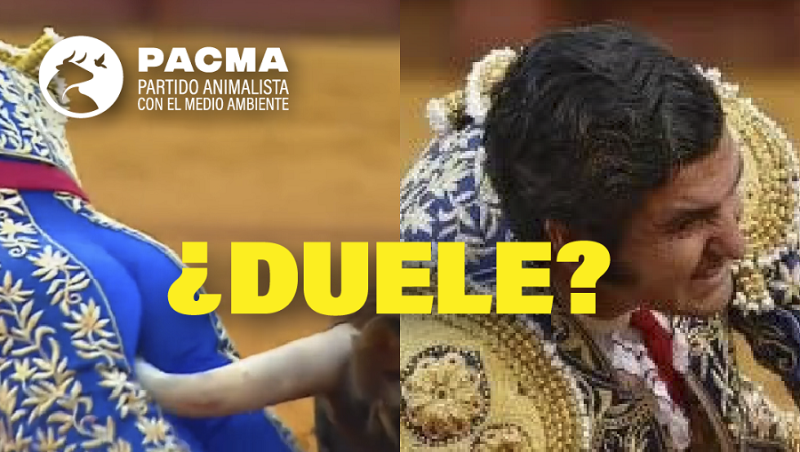 Morante de la Puebla cogida