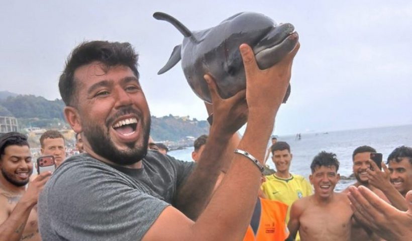 delfín Ceuta