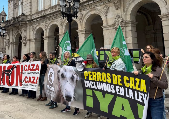 perros de caza