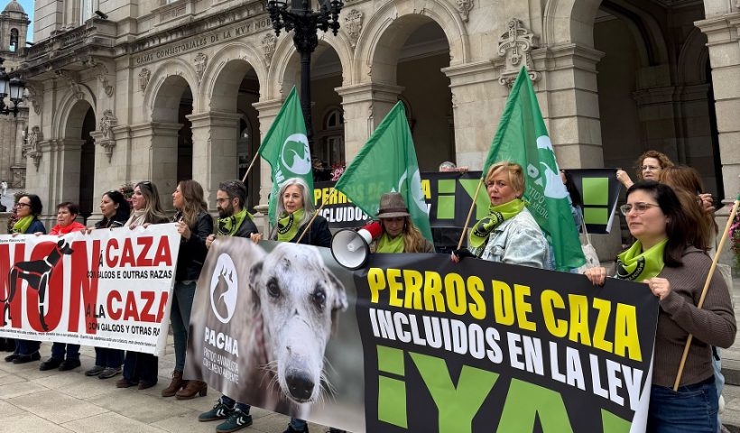 perros de caza