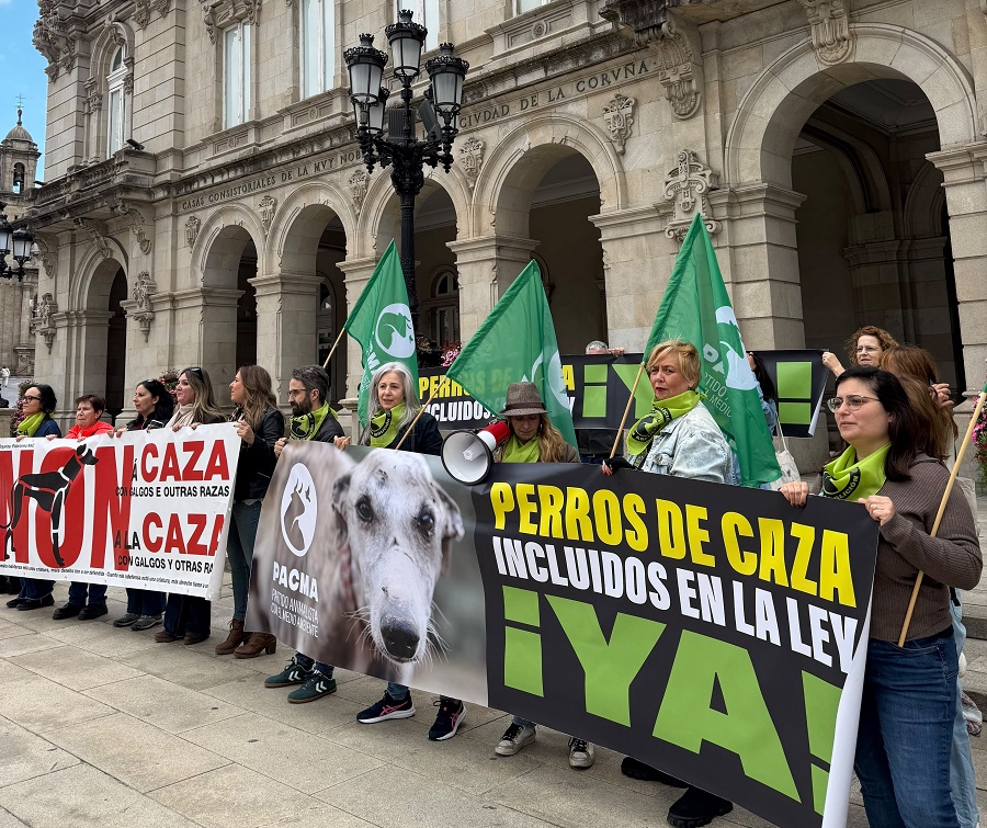 perros de caza